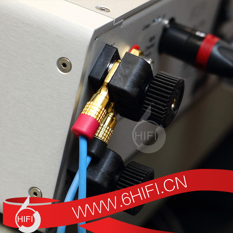 藝雅Ayre VX-5 Twenty 立體聲后級功放 hifi后級【全新行貨】