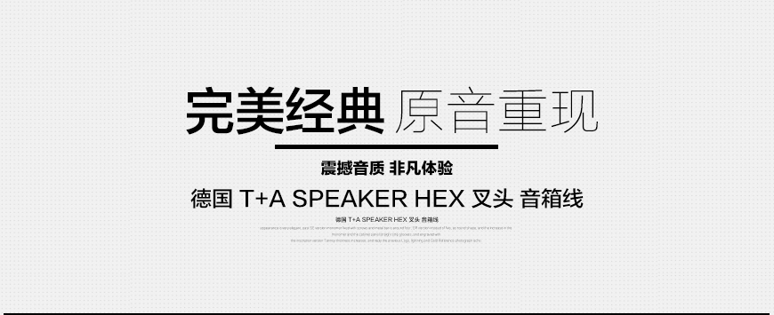德國 T+A SPEAKER HEX 叉頭音箱線,德國 T+A 喇叭線