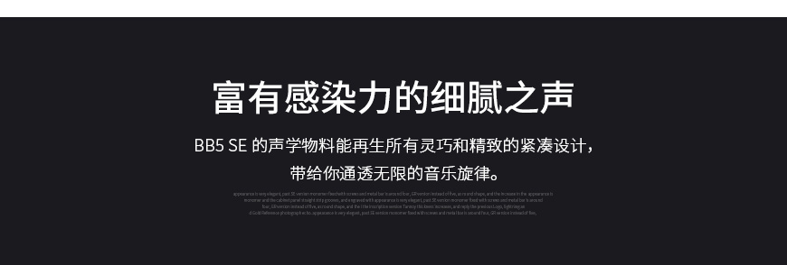 英國PMC BB5 SE,PMC BB5SE音箱