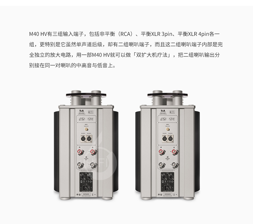 T+A M40 HV,T+A功放,電子管功放