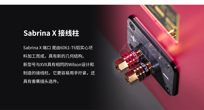 美國 威信 Wilson Audio Sabrina X 落地箱,威信 Sabrina X 落地箱,美國 Wilson Audio Sabrina X,美國 威信