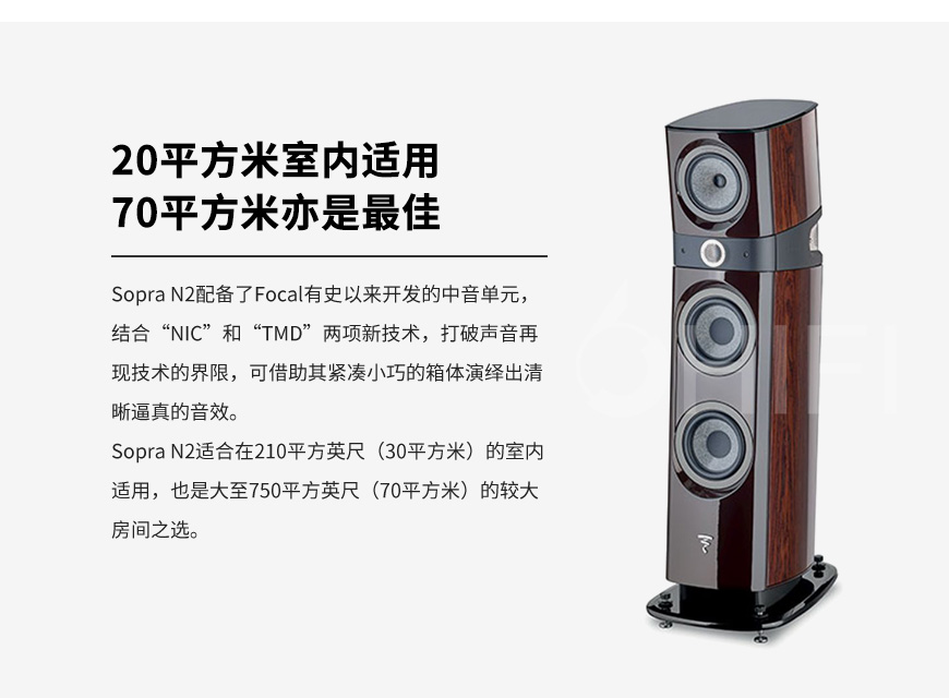 法國 勁浪 Focal Sopra N2 落地箱,勁浪 Sopra N2 落地箱,法國 Focal Sopra N2,法國 勁浪