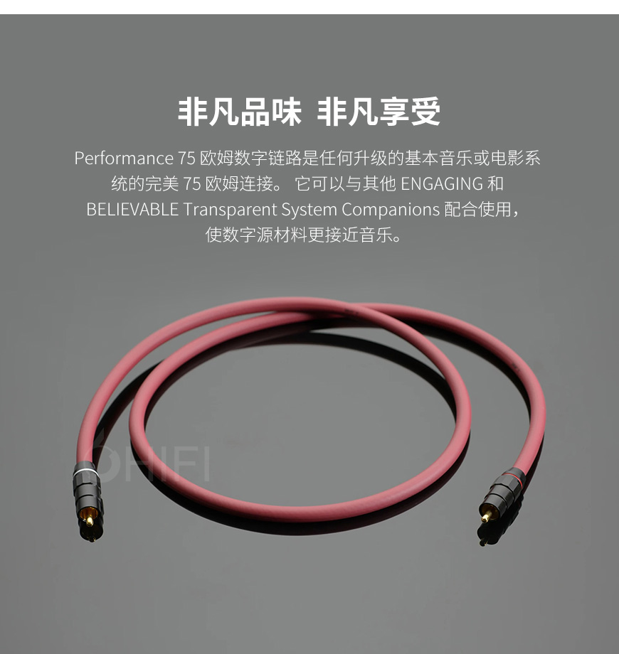 美國 Transparent 天仙配 Performance 75 Ohm Digital Link P75DL 同軸信號線 數碼線