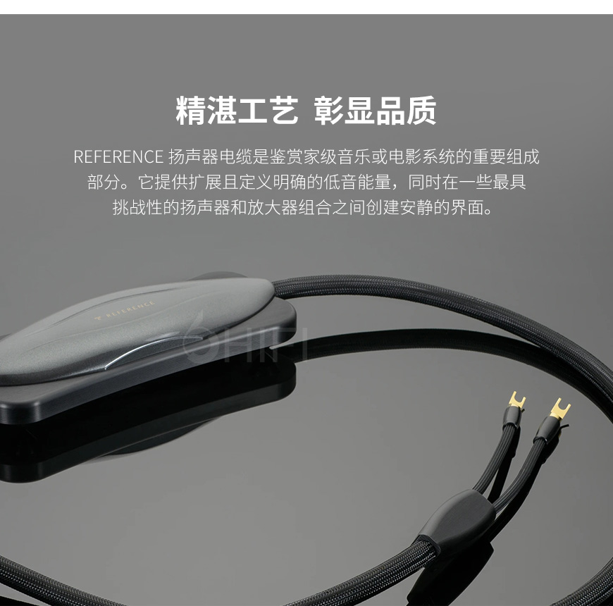 美國 Transparent 天仙配 Reference Speaker Cable RSC G6 音箱線