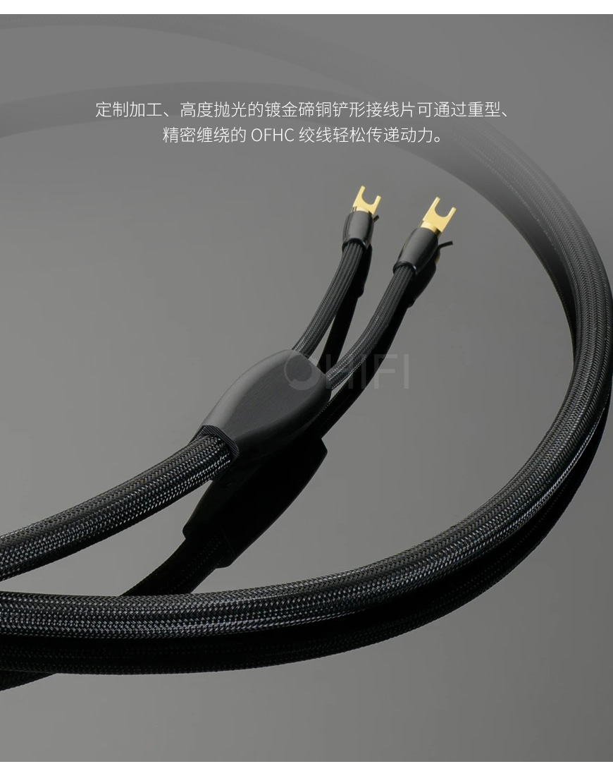 美國 Transparent 天仙配 Reference Speaker Cable RSC G6 音箱線