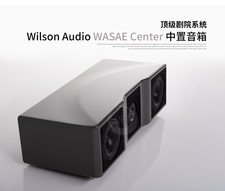 威信,Wilson Audio,WASAE Center,WASAE,Center,中置,音箱